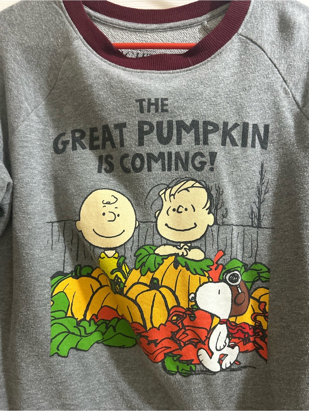 Peanuts The Great Pumpkin sweatshirt size XS - Picture 4 of 5